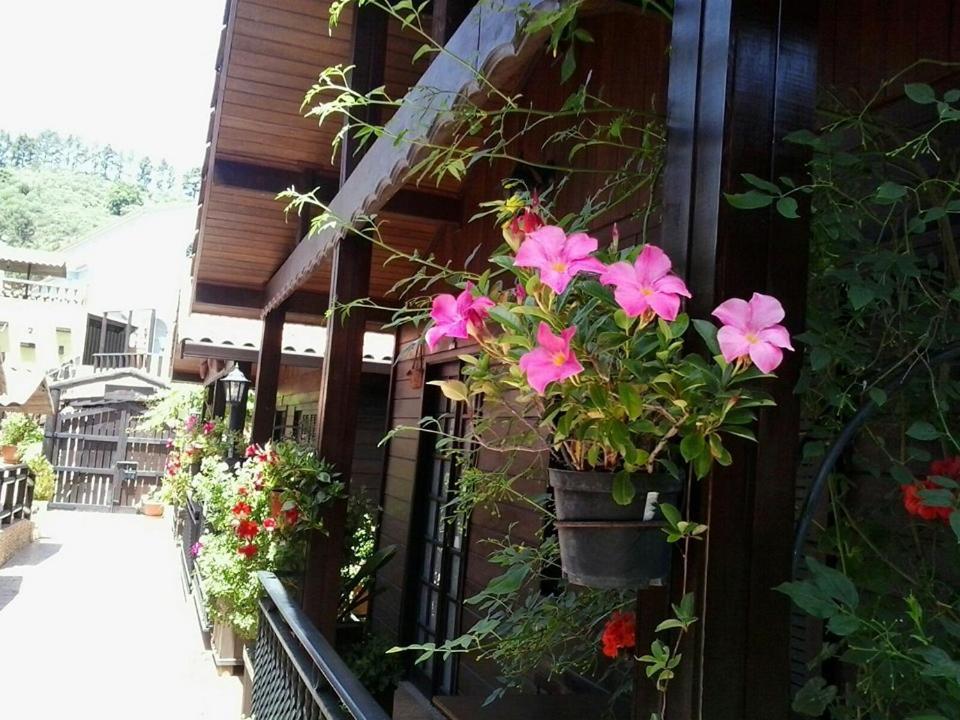 Cabanas Valle Verde Moya  Exteriör bild
